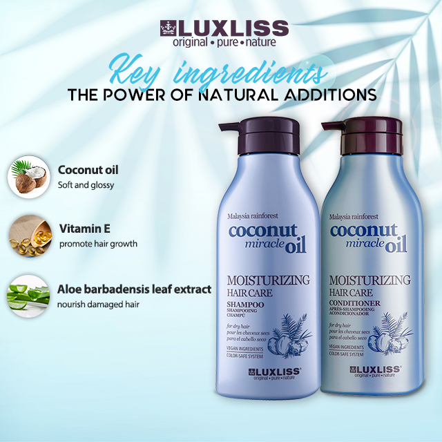 500ML Coconut Oil Hair Care Set: Natural Shampoo and Conditioner with Go away-In Remedy for Broken Hair – Natural Components